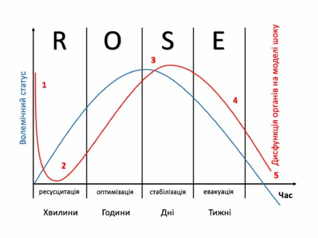 The path to individualization of infusion therapy for emergency conditions according to the ROSE concept